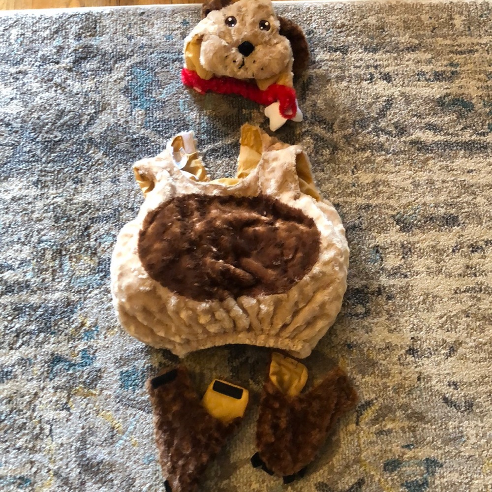 Puppy costume size 18-24 months